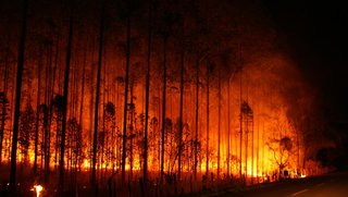 Bosbrand naast het zendingscentrum